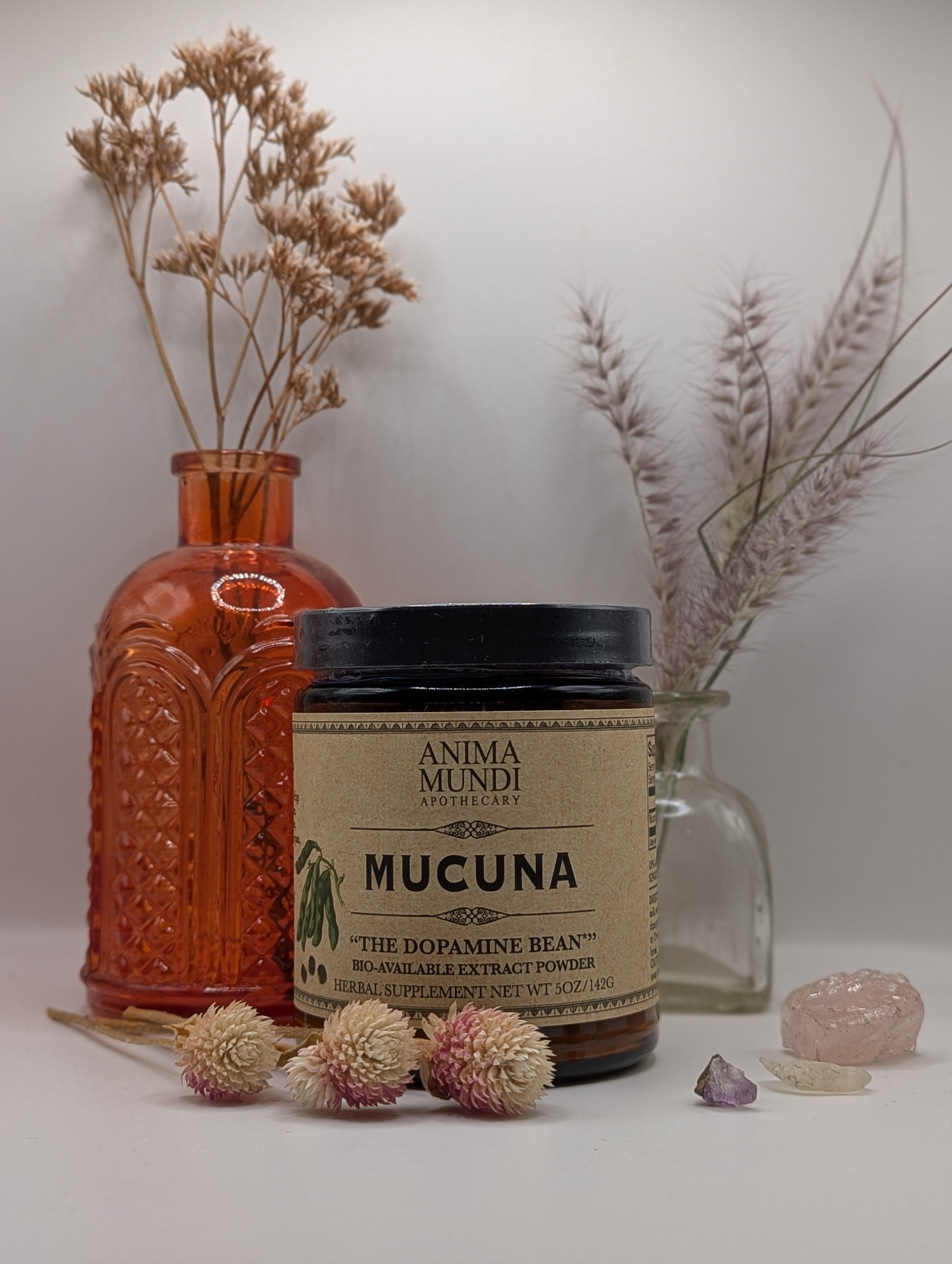 MUCUNA - The Velvet Bean